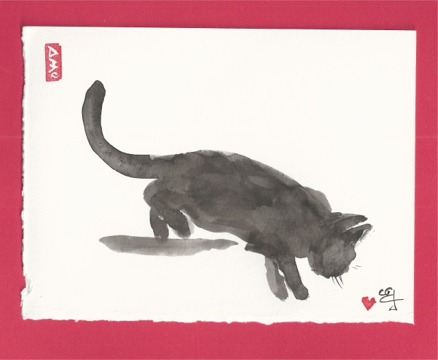 small black cat jumping