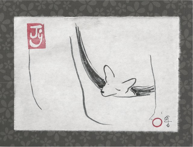 chihuahua in bag sleeping