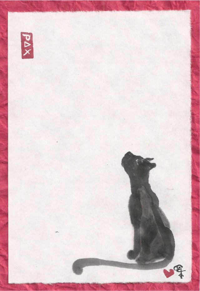 black cat looking up