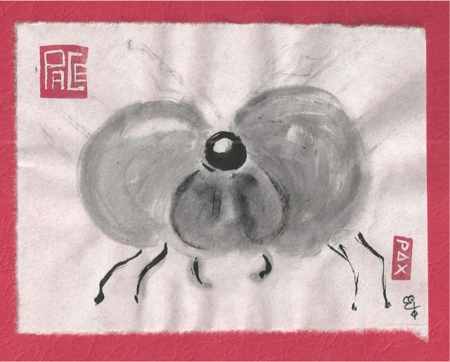 dragon fly closeup face