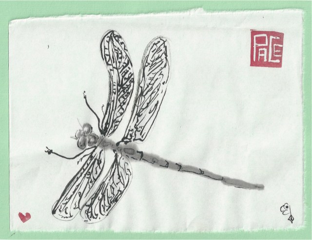 dragon fly on pale green mat