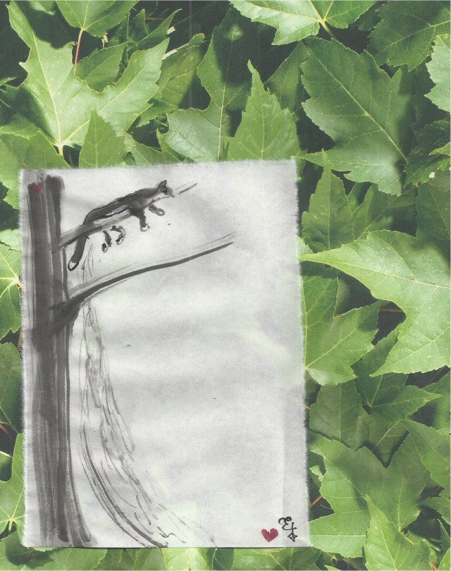 esmerelda in sweetgum tree 2