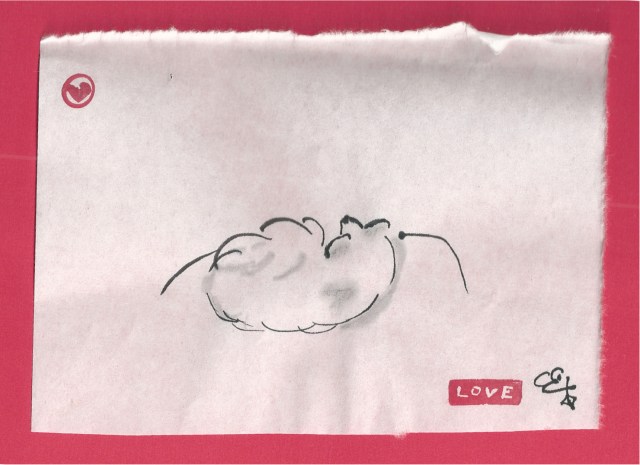 pim asleep in my lap