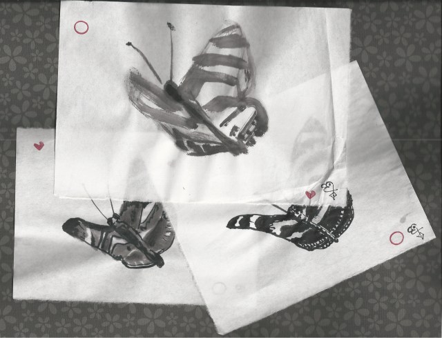 three butterflys one