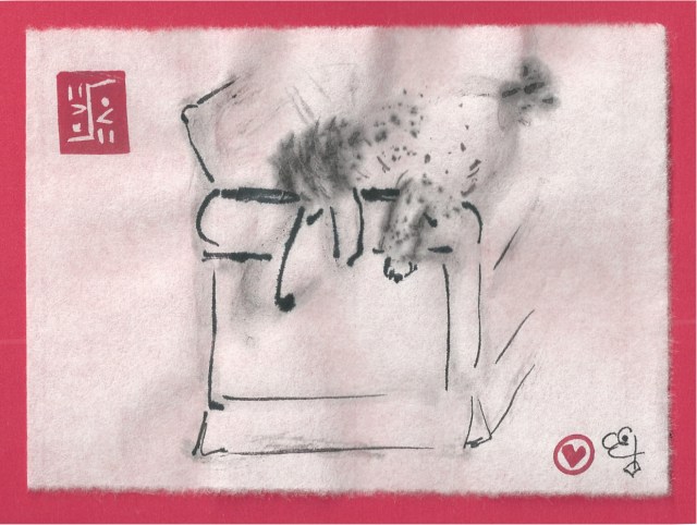 Tomi asleep in chair