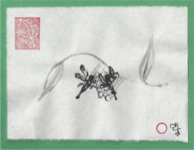 wasps building nests