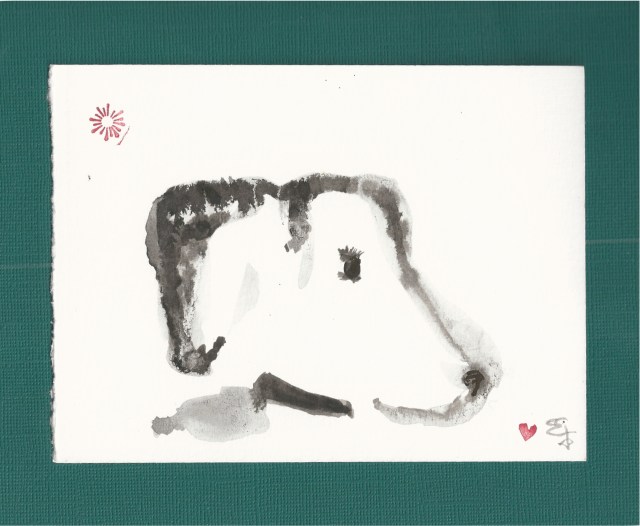 poodle looking right