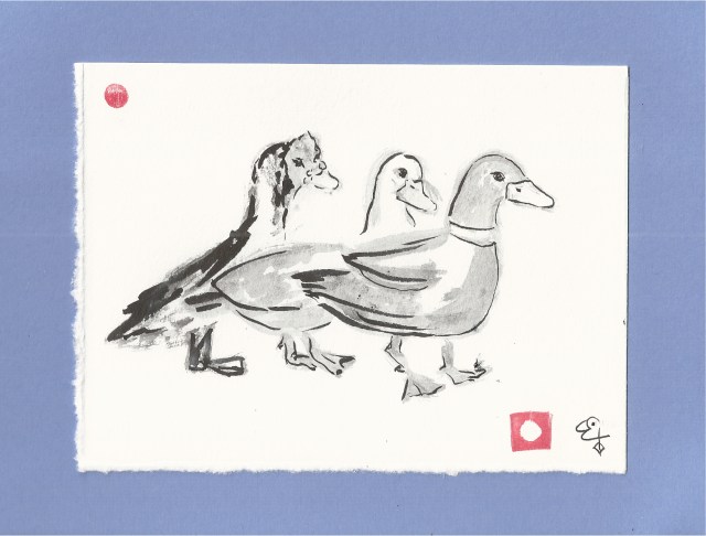 three ducks