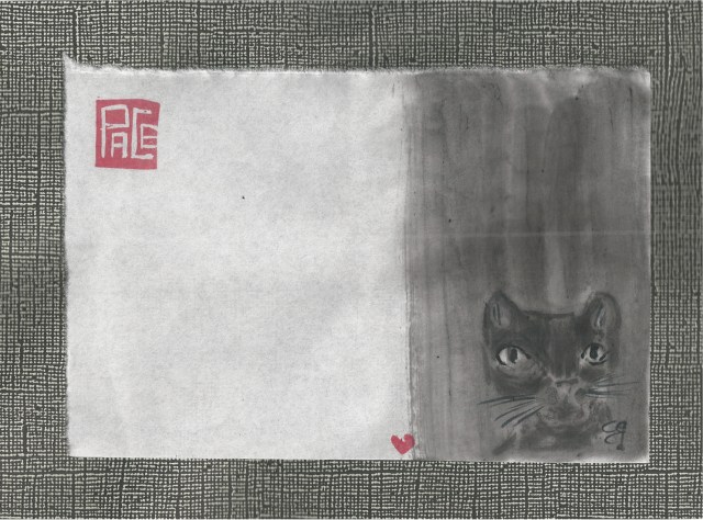 black cat in the shadows