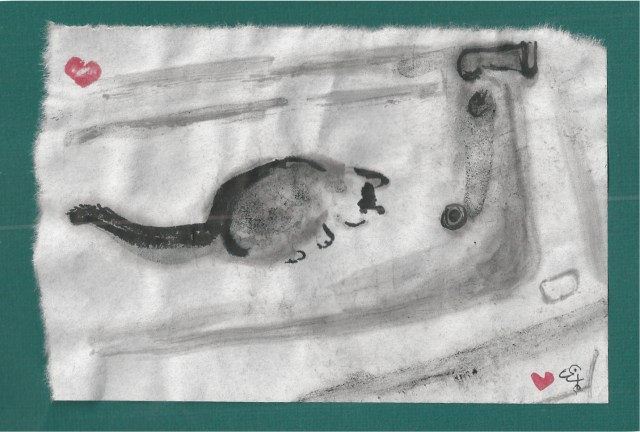 cat in bathtub looking at drain