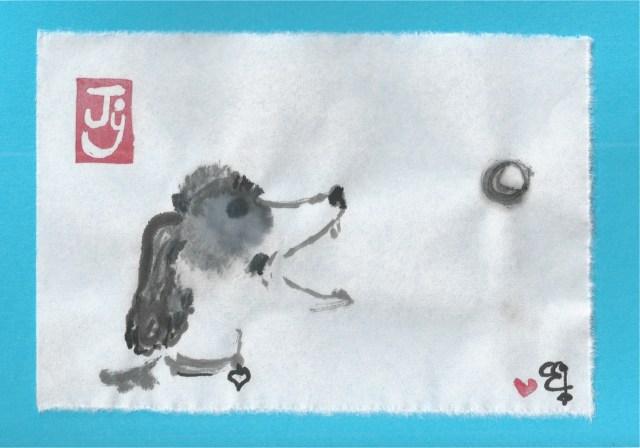 parti poodle catches a ball