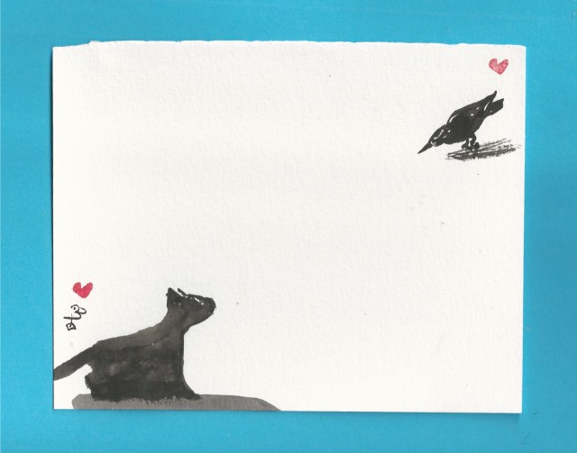 black bird black cat