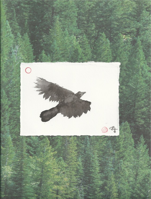 crow above cedars
