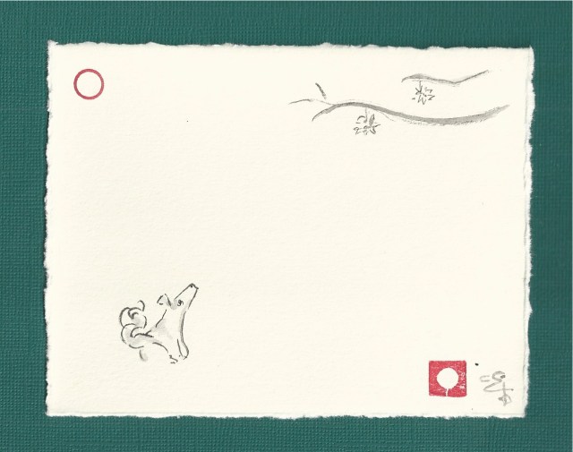 pim contemplates a sweet gum ball