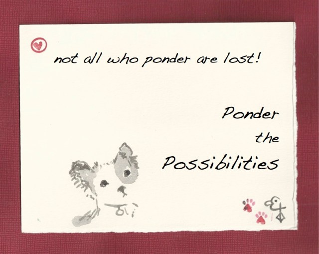 Ponder the Possibilities Pim