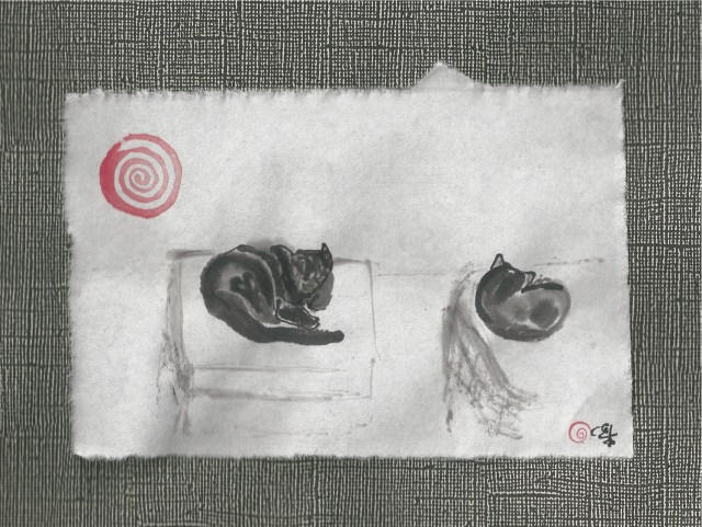 two cats not speaking