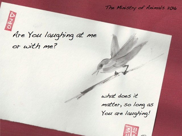 are you laughing at me sparrow