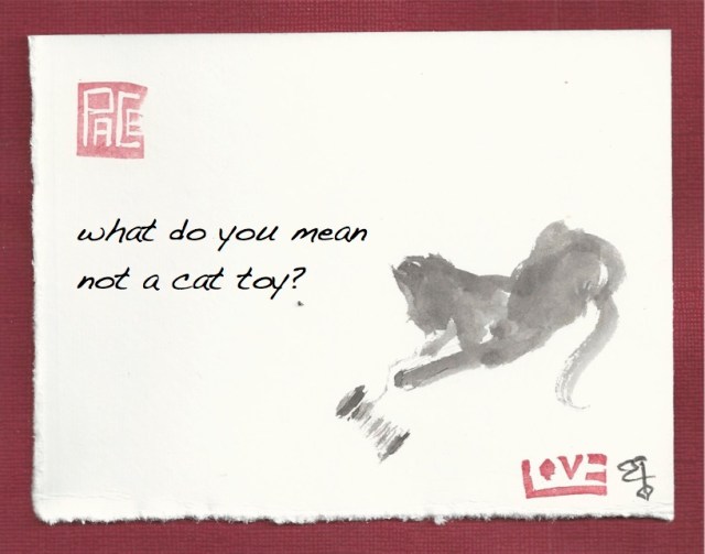 cat toy spool of thread