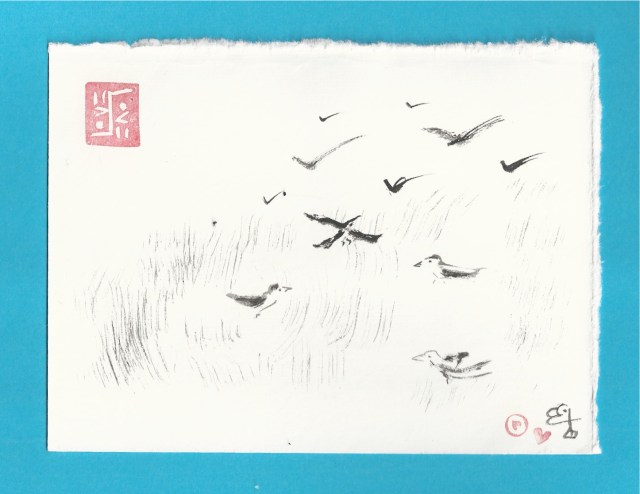 flock of tiny birds on grass