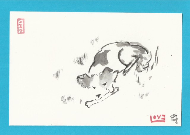 pim chews bone in grass