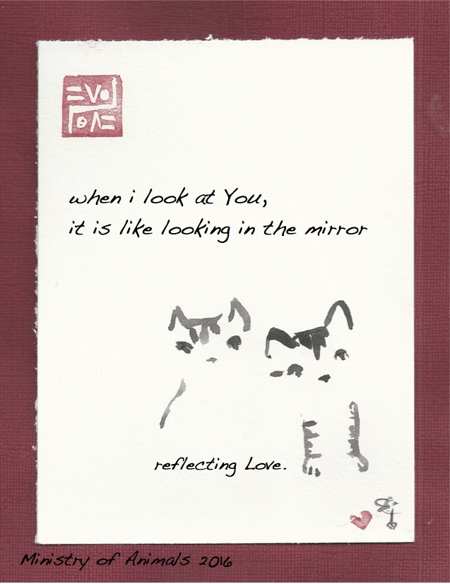 relected love two kittens