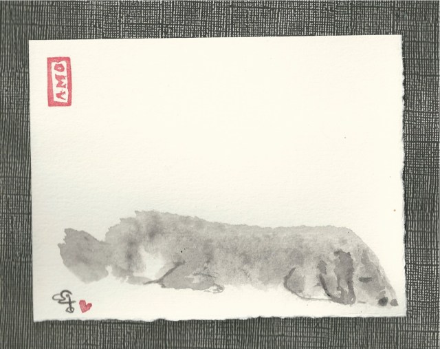 soft grey poodle napping