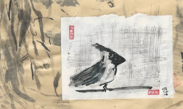 cardinal in kiln room screened in