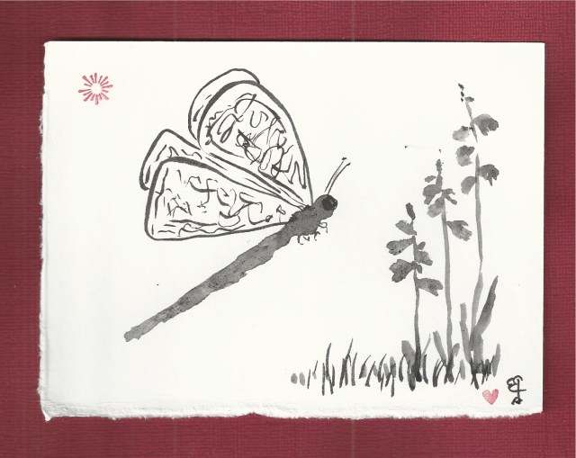 dragonfly first days of spring