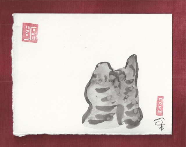 feral cat looks away