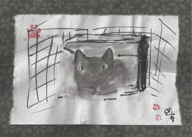 presto in PIm's crate