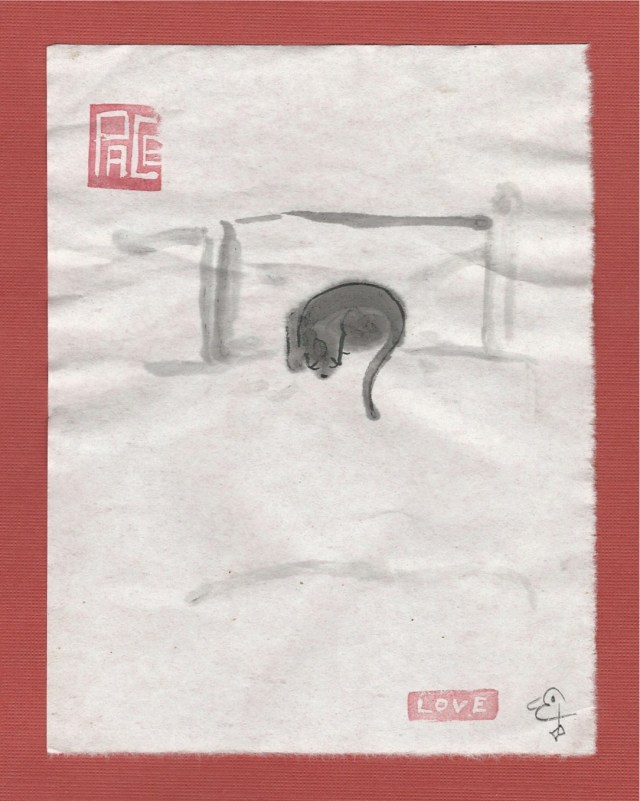 black cat on bed pillow