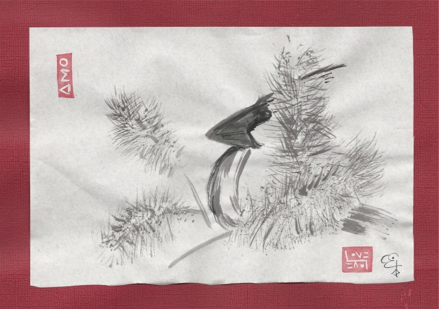 cardinal in bottle brush tree