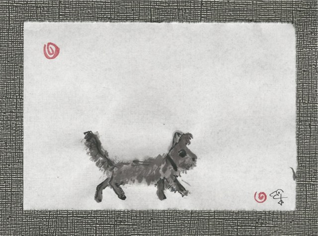 little scruffy black dog