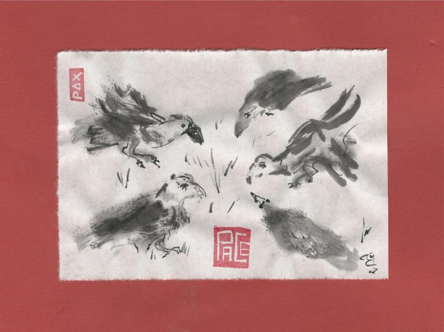 peace eagles turkey vultures