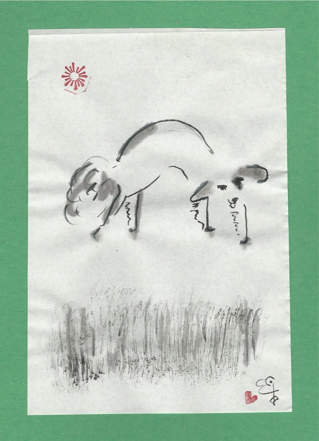 pim pouncing in grass