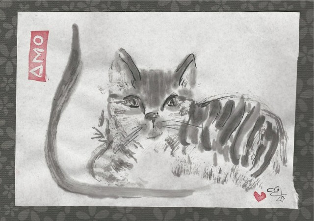 skipper the tabby cat