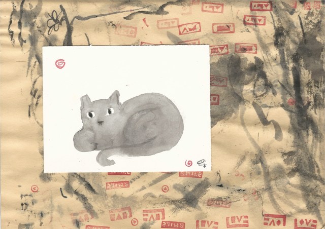 soft grey young feral cat