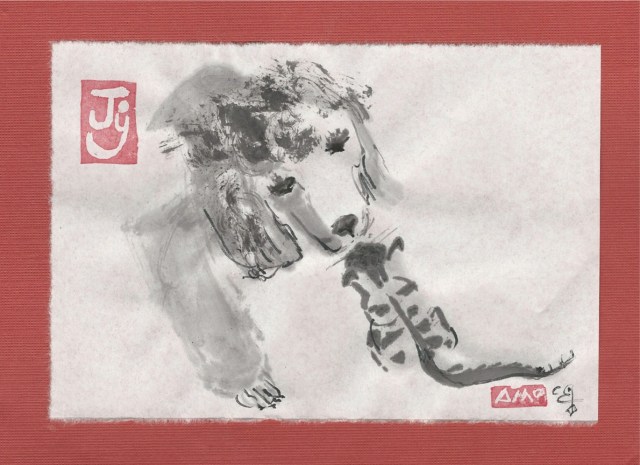 standard poodle with tabby kitten