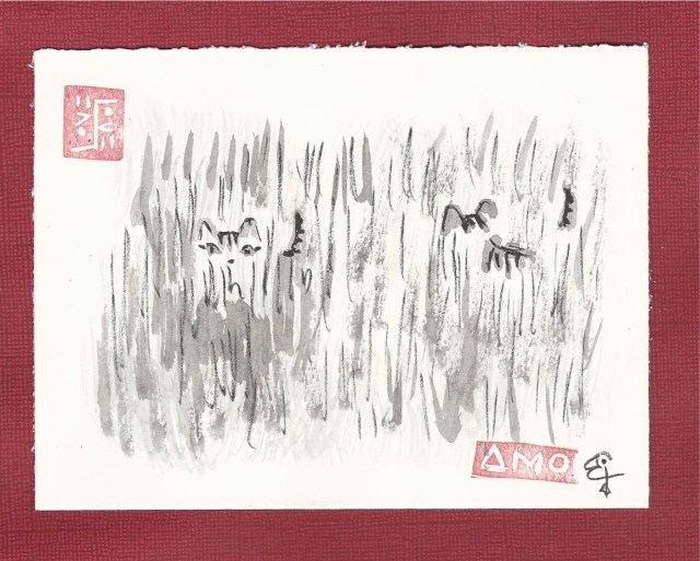 tabby kittens in grass