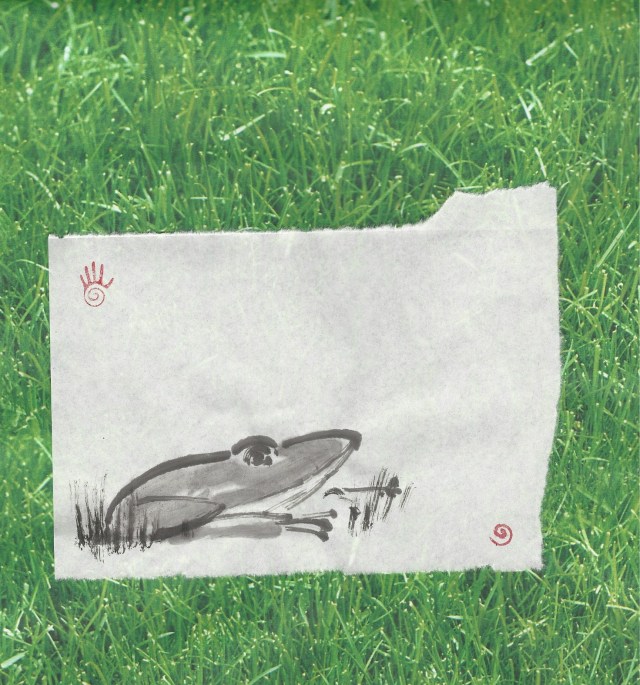 big green frog in grass