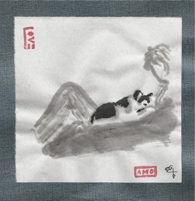 cat on young man's chest