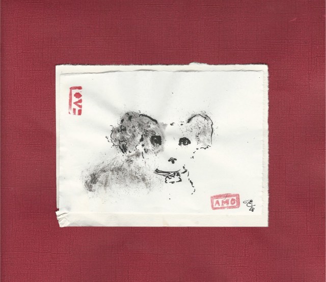 harry the partipup poodle