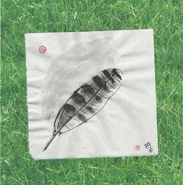 osprey feather on the grass