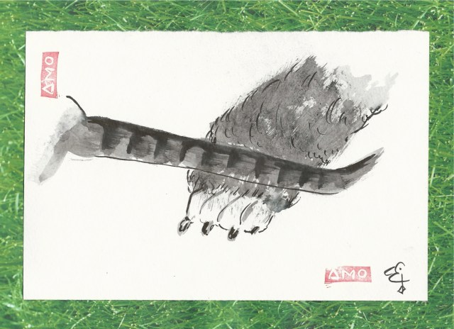 poodle paw with taby kitten tail