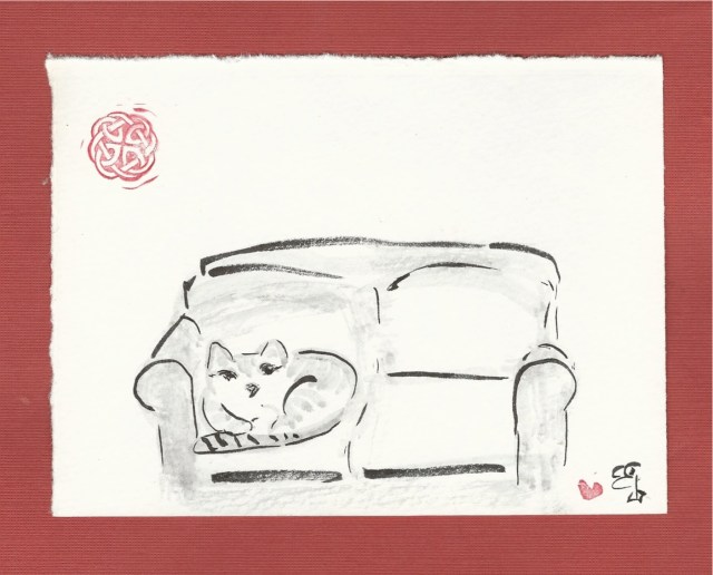 stranger cat on sofa