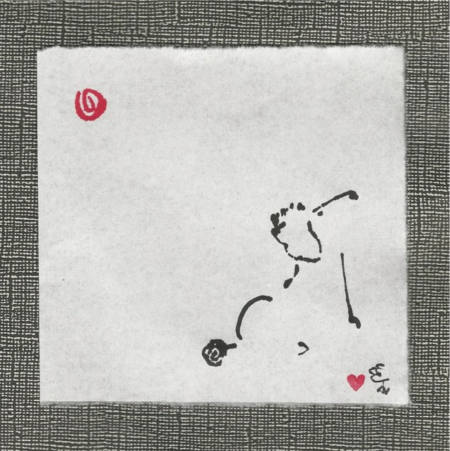 poodle looks up right side