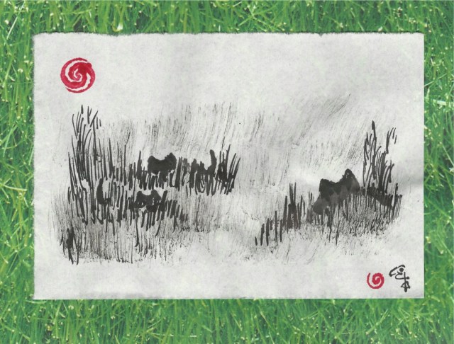 two kittens &black cat in grass