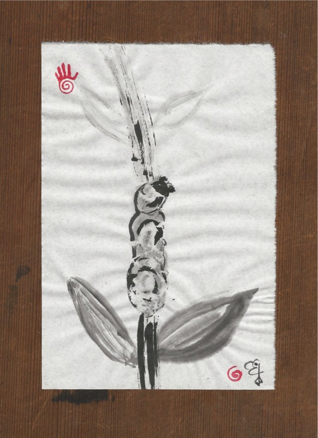 bird turd caterpillar