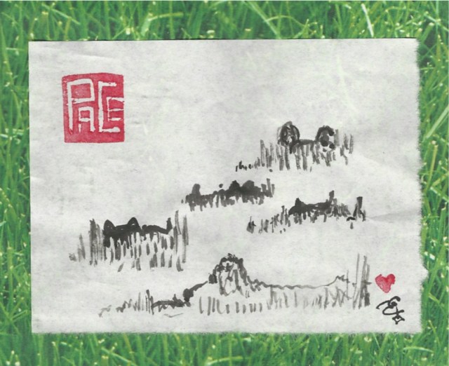 plant dogs and cats in grass