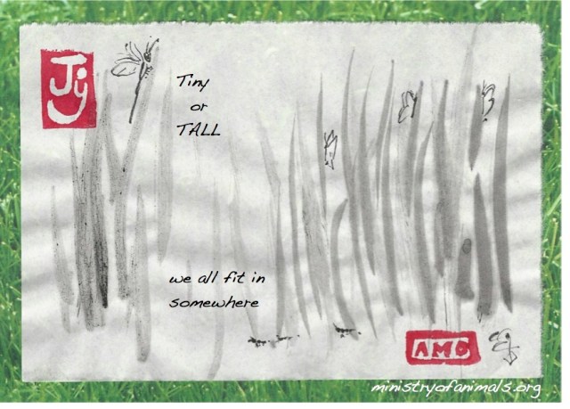 tiny or tall grass copy